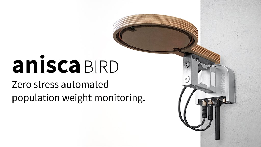 Anisca Bird is a zero stress automated 
population weight monitoring device.